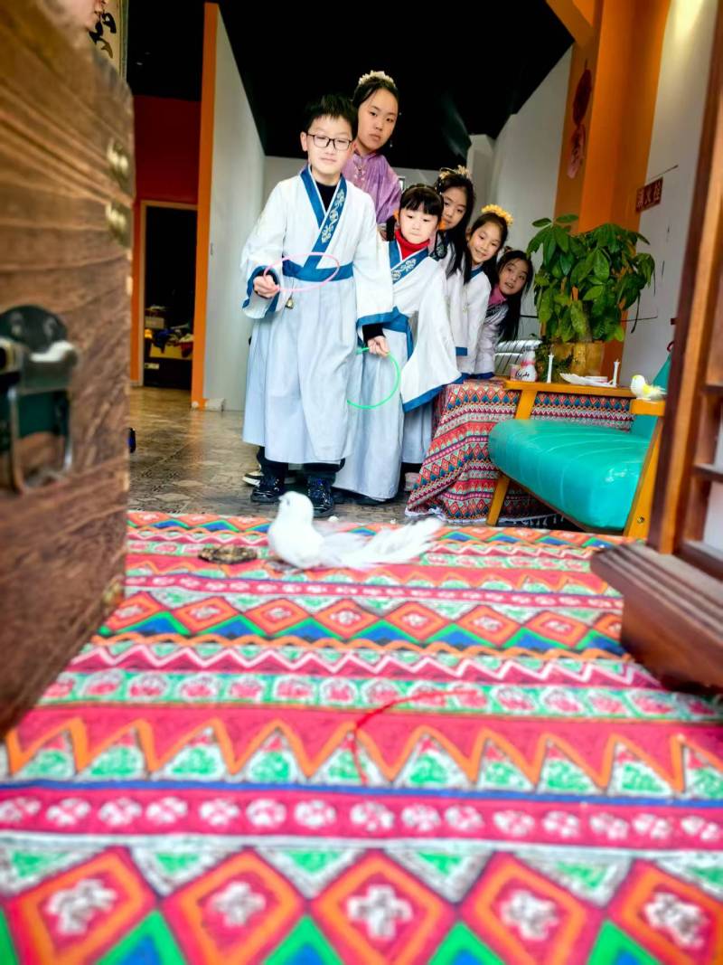 惠农区文旅项目策划